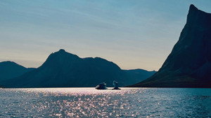 Tur tālumā, Grenlandē