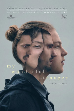 My Wonderful Stranger