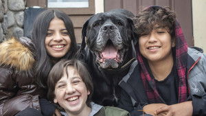 Dog Patrol Operation Santa Paws (2025)