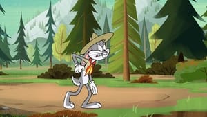 New Looney Tunes: season1 x episode58 online