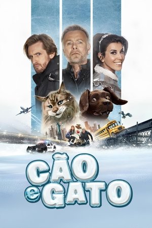 Cão e Gato - Poster