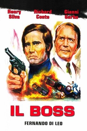 Il boss 1973