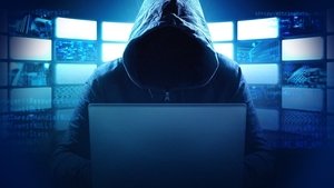 Fighting Cyber Criminals