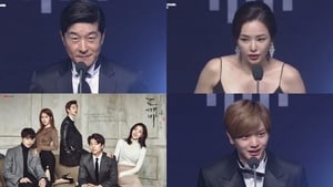 Korea Drama Awards 2017