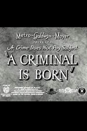 A Criminal Is Born poster