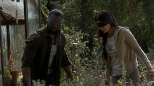 Bird Box – Schließe deine Augen