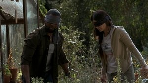 Bird Box: A Ciegas