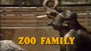 Zoo Family Seal Song