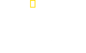 Ultimate Survival WWII — Logos 2