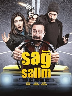 Poster Sağ Salim 2012