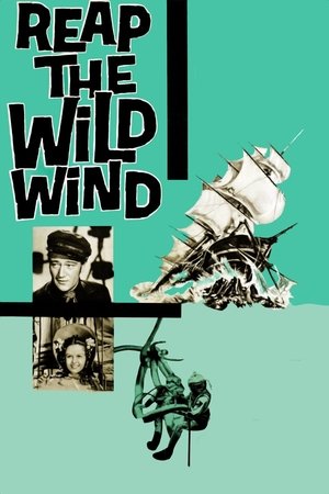 Poster Reap the Wild Wind 1942
