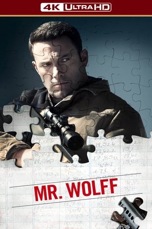 poster The Accountant