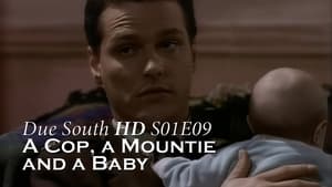 Due South A Cop, a Mountie, and a Baby