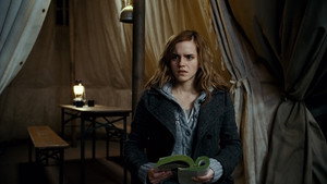 Harry Potter and the Deathly Hallows: Part 1 movie still 99