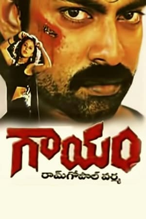 Poster Gaayam 1993