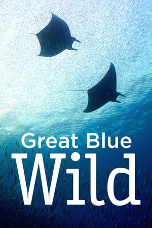 Image Great Blue Wild