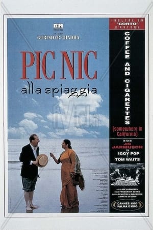 Poster Picnic alla spiaggia 1993