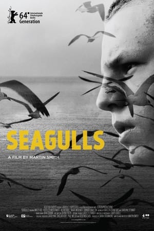 Poster Seagulls 2014