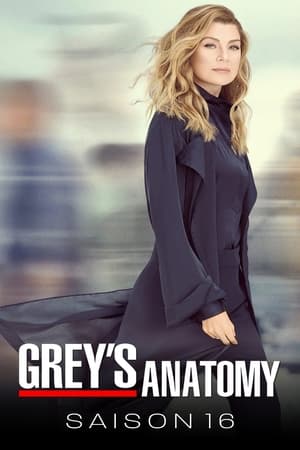 Grey's Anatomy: Saison 16