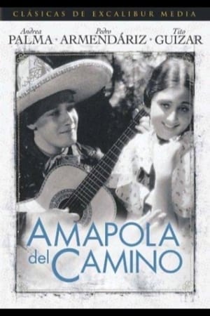 Poster Amapola Del Camino (1937)