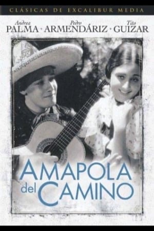 Poster Amapola Del Camino 1937