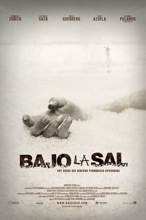 Poster O Mistério de La Sal 2008