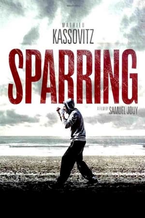 Poster Sparring (2017)