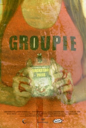 Poster Groupie (2013)