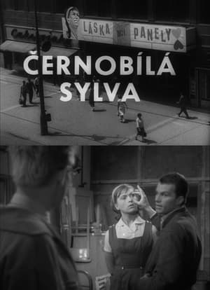 Černobílá Sylva film complet