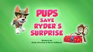 PAW Patrol Pups Save Ryder's Surprise