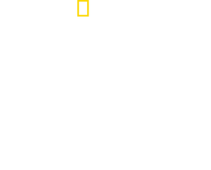 /cpfBbJJi7H93GAuCzeNij0Fy4Gq.png