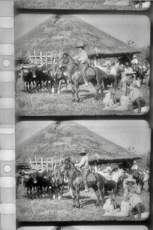Les Apaches du Far-West