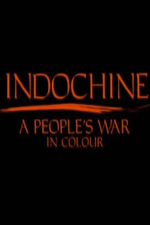Indochine: A People's War in Colour (2009)
