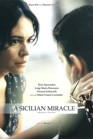 Poster Miracolo a Palermo! (2005)