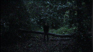 Left Behind