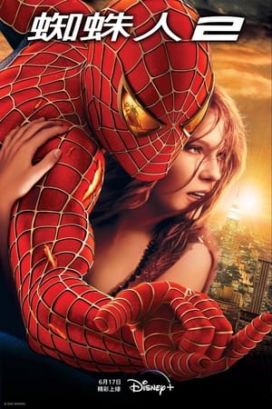 Poster 蜘蛛侠2 2004