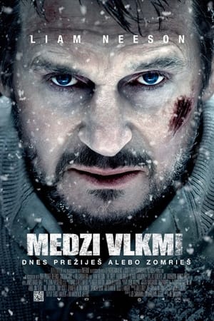 Poster Medzi vlkmi 2012