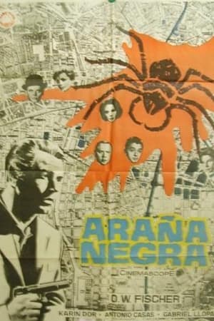 Araña negra