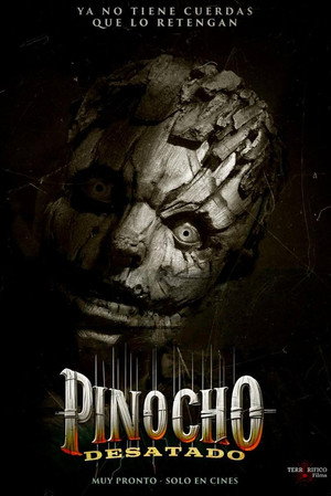 <Images posters