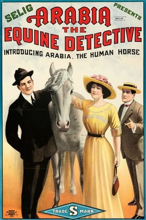 Image Arabia: The Equine Detective