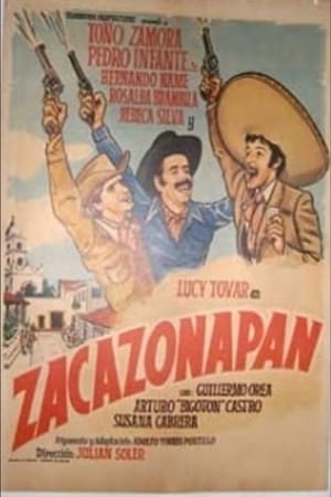 Poster Zacazonapan 1976