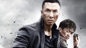 Kung Fu Jungle (2014) Hindi Dubbed