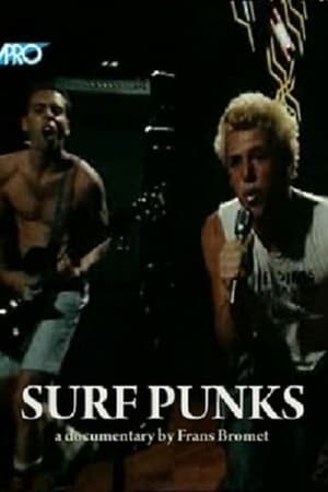 Poster Surf Punks (1981)