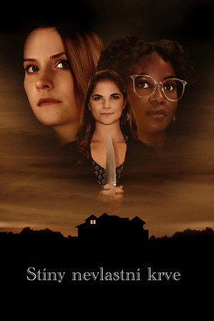 Image Stíny nevlastní krve