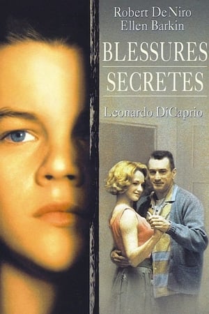 Poster Blessures secrètes 1993