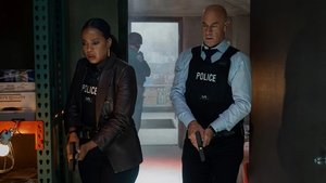 Imagem Law & Order: Crime Organizado (5x5) 8 maio 2025