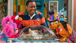 Sesame Street: 50×27