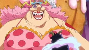 One Piece: Season 18 Episode 795