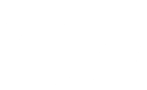 닥터 섬보이 — Logos 2