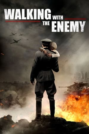 Poster Pośród wrogów 2014